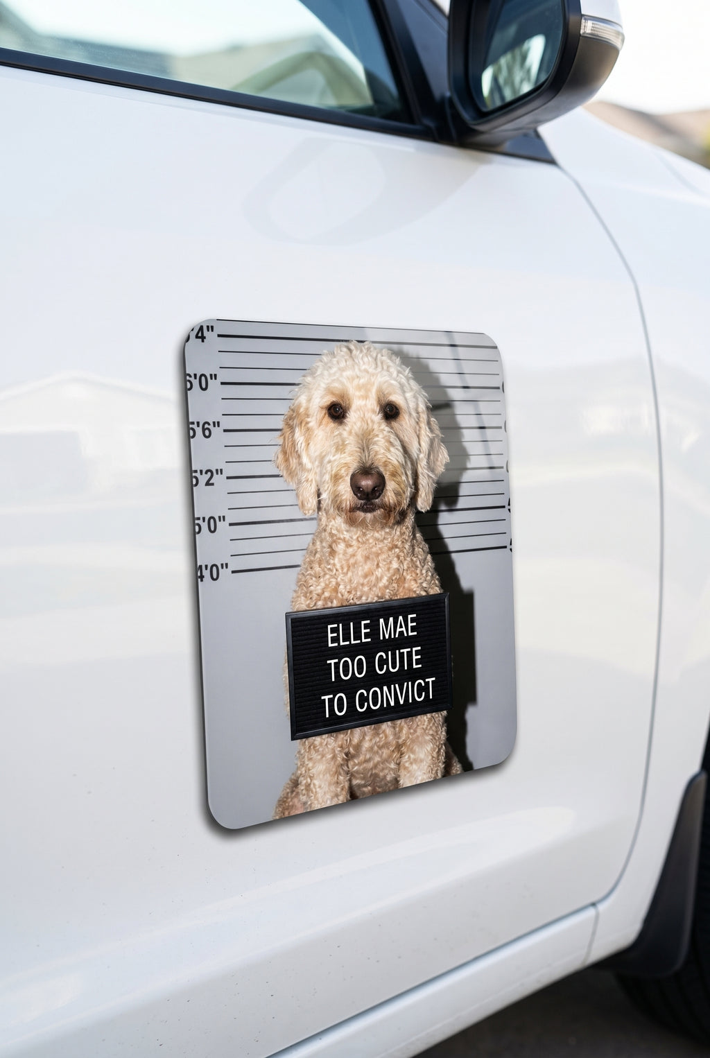 Custom pet car magnet in the viral Pet Mugshot style on a white car door