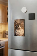 Custom pet portrait fridge magnet on a stainless steel refrigerator, real product photo